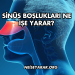 Sinüs Boşlukları Ne İşe Yarar?