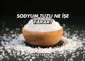 Sodyum Tuzu Ne İşe Yarar?