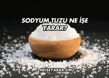 Sodyum Tuzu Ne İşe Yarar?