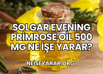Solgar Evening Primrose Oil 500 mg Ne İşe Yarar?