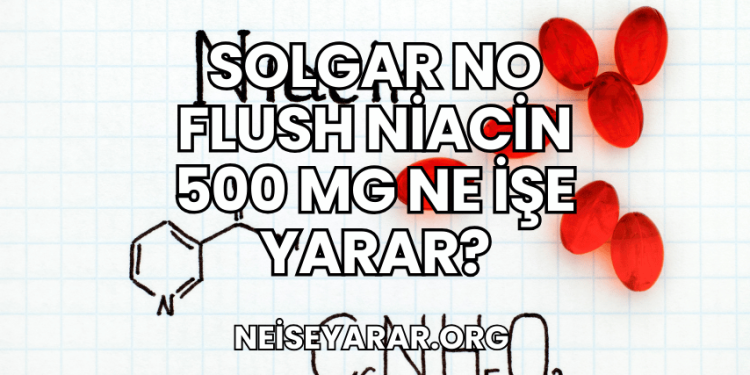 Solgar No Flush Niacin 500 mg Ne İşe Yarar?