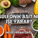Sülfonik Asit Ne İşe Yarar?