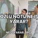 Sözlü Notu Ne İşe Yarar?