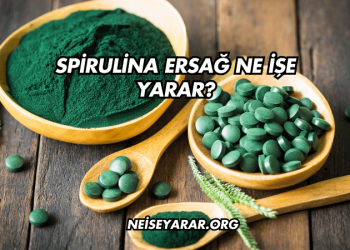 Spirulina Ersağ Ne İşe Yarar?