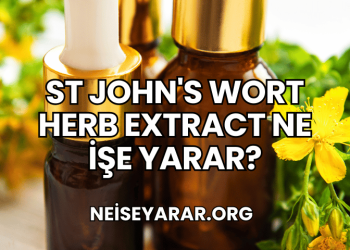 St John's Wort Herb Extract Ne İşe Yarar?