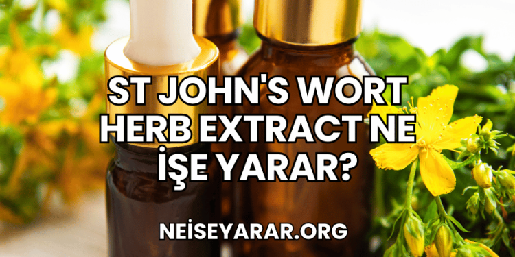 St John's Wort Herb Extract Ne İşe Yarar?