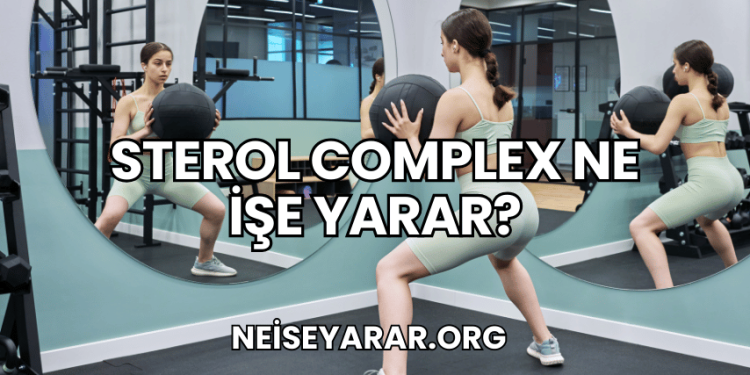 Sterol Complex Ne İşe Yarar?