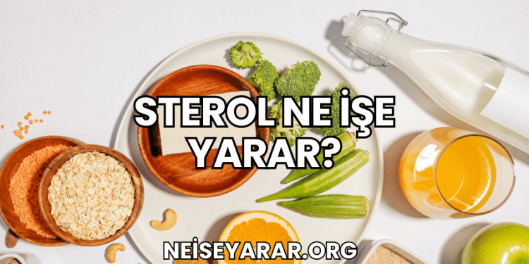 Sterol Ne İşe Yarar?