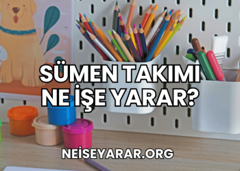 Sümen Takımı Ne İşe Yarar?
