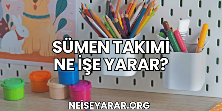 Sümen Takımı Ne İşe Yarar?