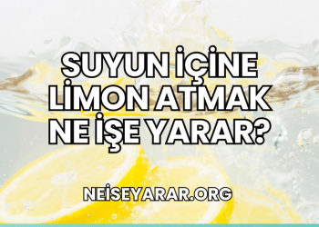 Suyun İçine Limon Atmak Ne İşe Yarar?