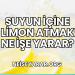 Suyun İçine Limon Atmak Ne İşe Yarar?