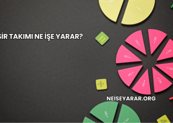 Kesir Takımı Ne İşe Yarar?