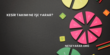 Kesir Takımı Ne İşe Yarar?
