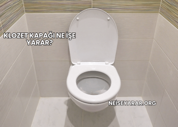 Klozet Kapağı Ne İşe Yarar?