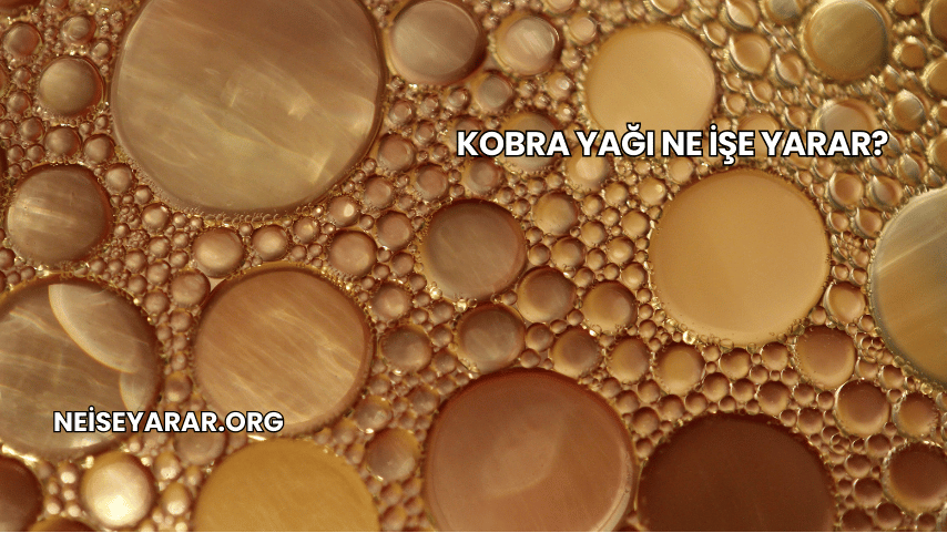 Kobra Yağı Ne İşe Yarar?
