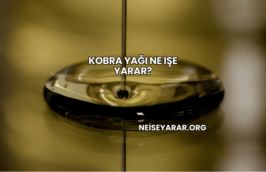 Kobra Yağı Ne İşe Yarar?
