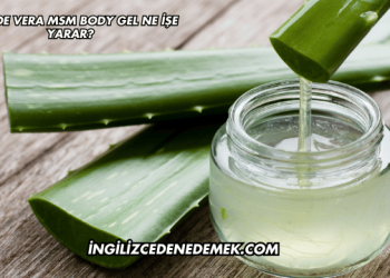LR Aloe Vera MSM Body Gel Ne İşe Yarar?