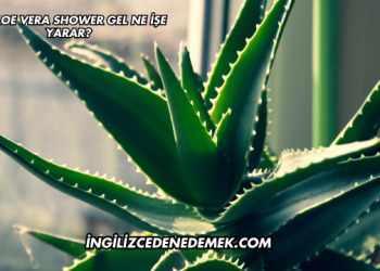 LR Aloe Vera Shower Gel Ne İşe Yarar?