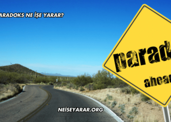 Paradoks Ne İşe Yarar?