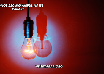 Prednol 250 mg Ampul Ne İşe Yarar?