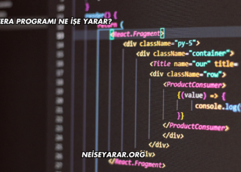 Primavera Programı Ne İşe Yarar?