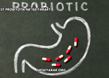 Probest Probiyotik Ne İşe Yarar?