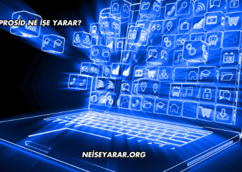 Prosid Ne İşe Yarar?