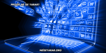 Prosid Ne İşe Yarar?