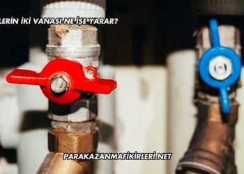 Peteklerin İki Vanası Ne İşe Yarar?