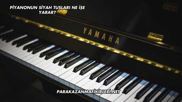 Piyanonun Siyah Tuşları Ne İşe Yarar?