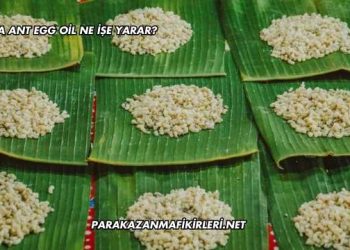 Tala Ant Egg Oil Ne İşe Yarar?