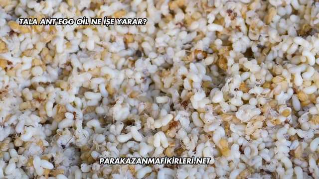 Tala Ant Egg Oil Ne İşe Yarar?