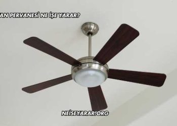 Tavan Pervanesi Ne İşe Yarar?