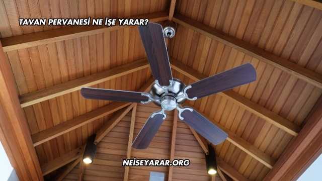 Tavan Pervanesi Ne İşe Yarar?