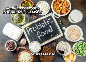 Activia Probiyotik Yoğurt Ne İşe Yarar?