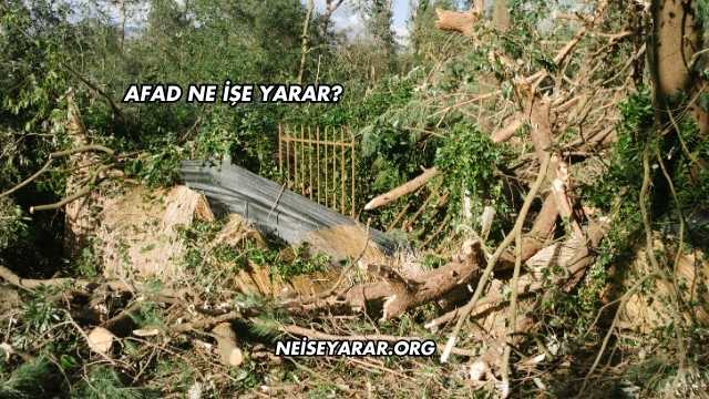 Afad Ne İşe Yarar?