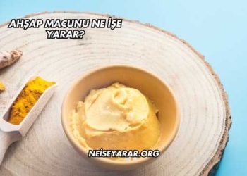 Ahşap Macunu Ne İşe Yarar?