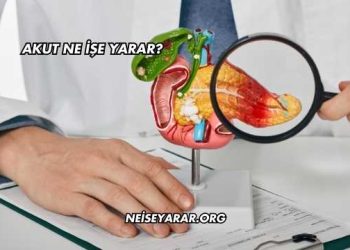 Akut Ne İşe Yarar?