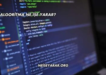 Algoritma Ne İşe Yarar?