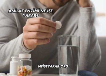 Amilaz Enzimi Ne İşe Yarar?