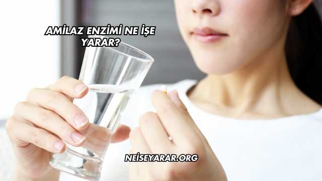 Amilaz Enzimi Ne İşe Yarar?