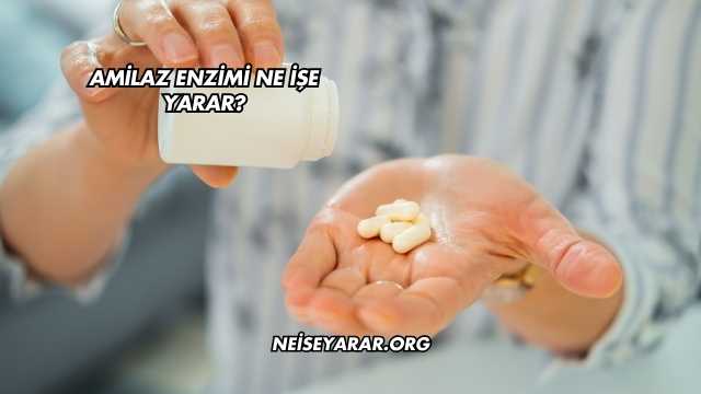Amilaz Enzimi Ne İşe Yarar?