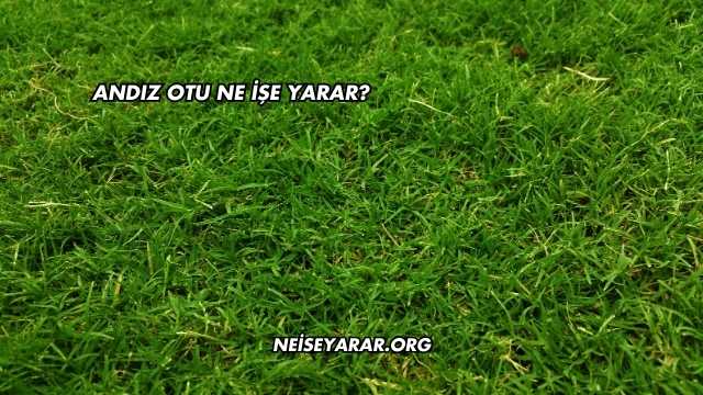 Andız Otu Ne İşe Yarar?