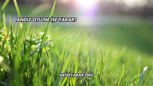 Andız Otu Ne İşe Yarar?