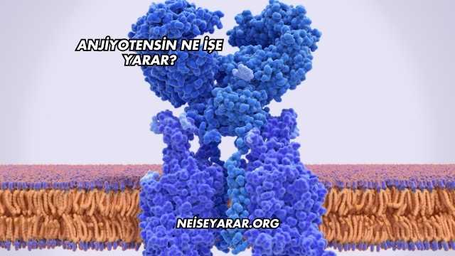 Anjiyotensin Ne İşe Yarar?