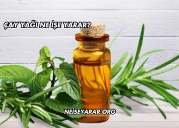 Çay Yağı Ne İşe Yarar?