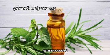 Çay Yağı Ne İşe Yarar?