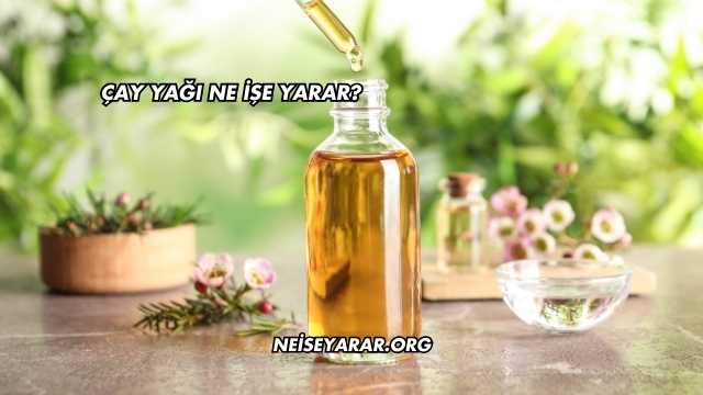 Çay Yağı Ne İşe Yarar?