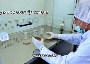 Çeker Ocak Ne İşe Yarar?